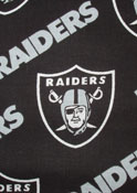 Oakland Raiders Tooth Fairy Pillow